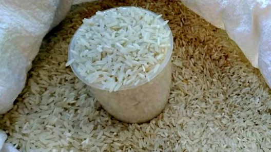 Producción de arroz en Cuba estará, otra vez, por debajo de la demanda en 2023
