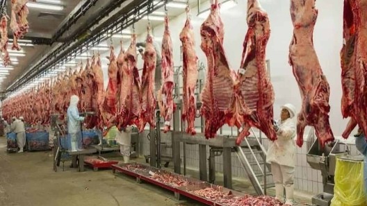 Colombia recibe “el visto bueno” de Cuba para la venta de pollo, res, cerdo y leche