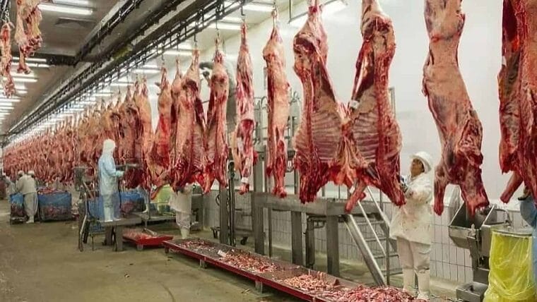 Colombia recibe “el visto bueno” de Cuba para la venta de pollo, res, cerdo y leche