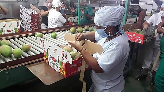 Cienfuegos y su menú de exportaciones para 2023