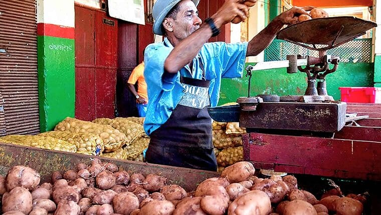 Duplican el precio de venta de la papa en Cuba