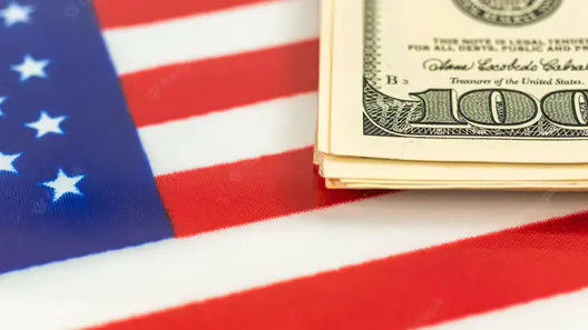 Otra modalidad de ayudas familiares en Estados Unidos