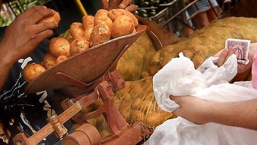 ¿Por qué aumentaron el precio de la papa en Cuba?