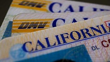 Indocumentados en California: ¿qué deben conocer sobre la nueva identificación?