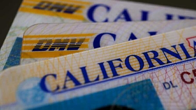 Indocumentados en California: ¿qué deben conocer sobre la nueva identificación?