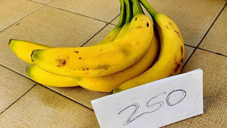 Será muy difícil bajar los precios en Cuba, según experto
