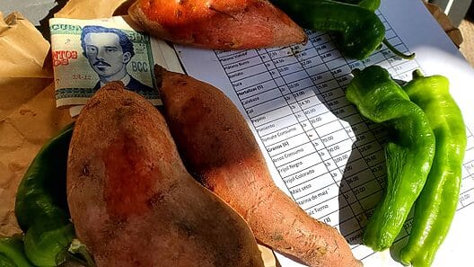 Estos son los nuevos precios topados para los productos agrícolas en Villa Clara