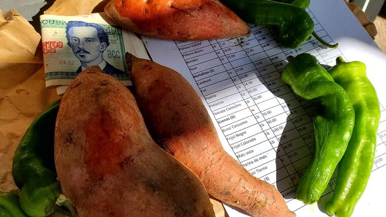 Estos son los nuevos precios topados para los productos agrícolas en Villa Clara