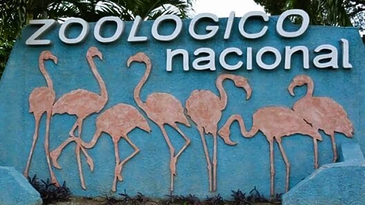 Cierra sus puertas Parque Zoológico Nacional de Cuba