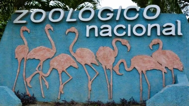 Cierra sus puertas Parque Zoológico Nacional de Cuba