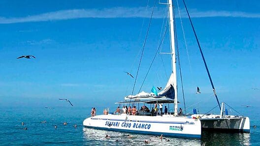 Gaviota incluye la “WIFI” como plus en sus excursiones del “Crucero Sol” en Varadero