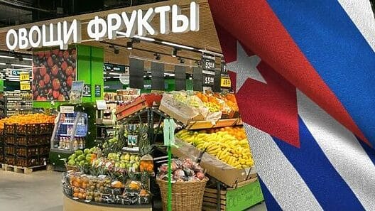 Asesor ruso propone al gobierno cubano dar mayor peso a empresas privadas y eliminar controles de precios