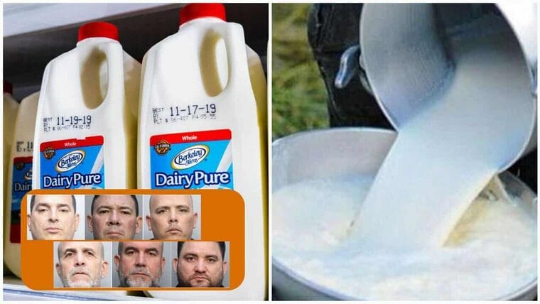 Cubanos arrestados en Miami por robo de leche