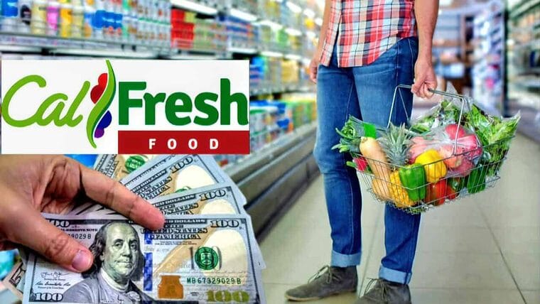 Aplica a estas ayudas para comprar alimentos en Estados Unidos con CalFresh 2023