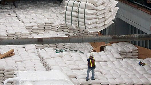Estados Unidos podría exportar arroz a Cuba