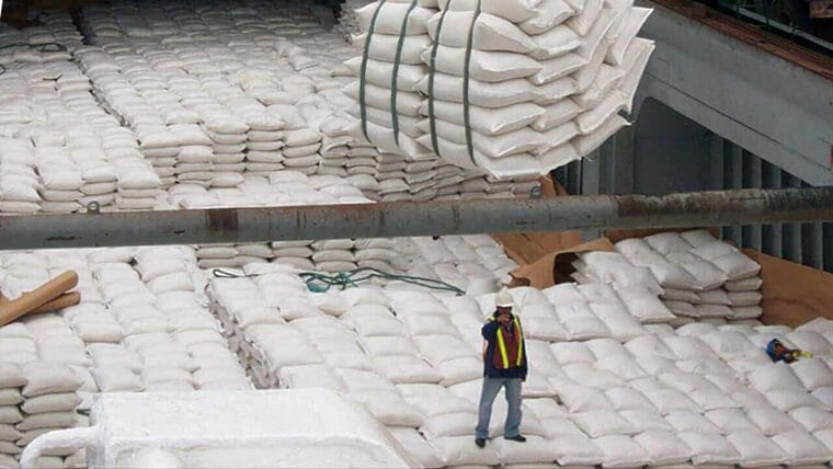 Estados Unidos podría exportar arroz a Cuba