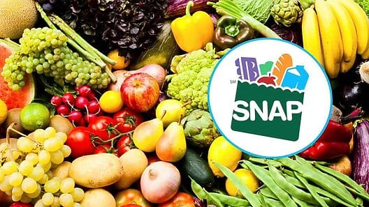 ¿Qué trae de nuevo el Programa de Asistencia Nutricional Complementaria, SNAP?