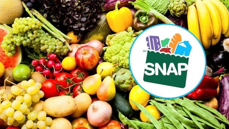 ¿Qué trae de nuevo el Programa de Asistencia Nutricional Complementaria, SNAP?