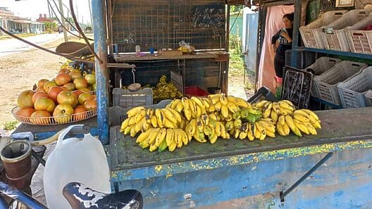 ¿Cuáles son los alimentos que más han subido de precio en Cuba?