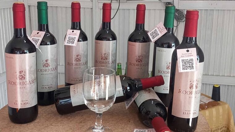 Productores locales de vinos cubanos artesanales quieren vender al Turismo