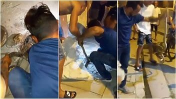 Atrapan un majá en alcantarilla de Gibara para comérselo