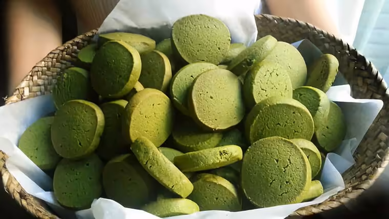 Emplearán polvo de moringa en la elaboración de galletas en Cuba
