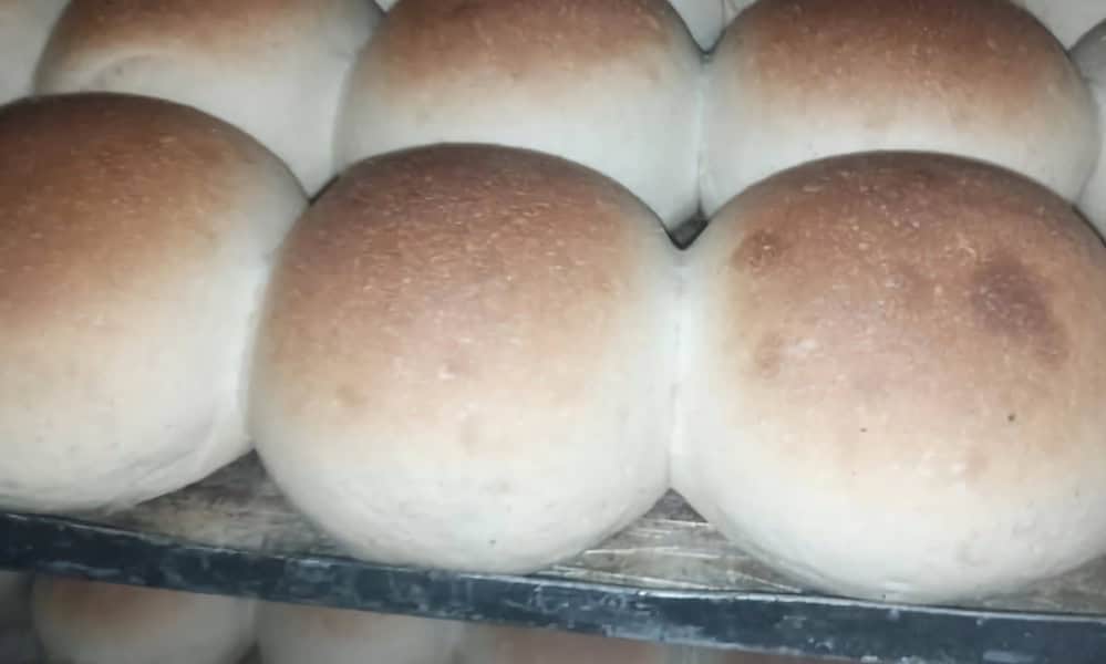 Report on changes in the production of “traditional bread” in Havana