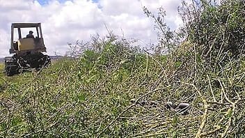 Empresas rusas podrán utilizar tierras de Cuba en usufructo