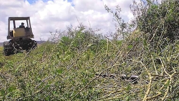 Empresas rusas podrán utilizar tierras de Cuba en usufructo