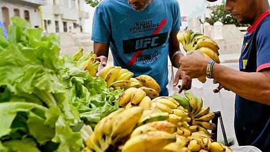 Gastronomía en Cuba: cada vez más dependiente del sector privado