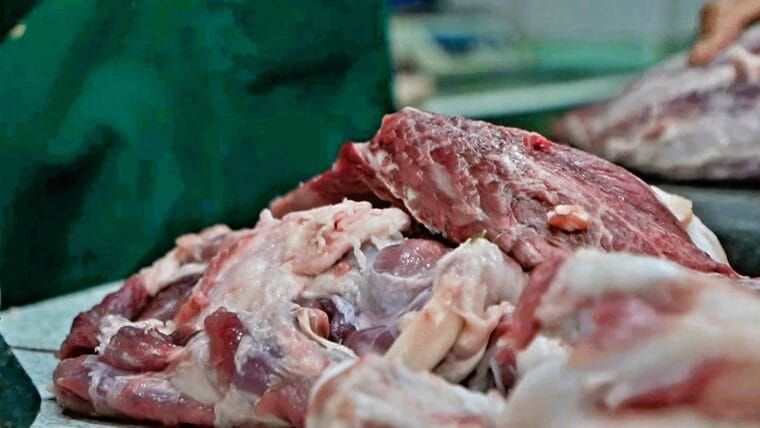 México venderá carne de cerdo a Cuba: ¿para las tiendas en MLC?