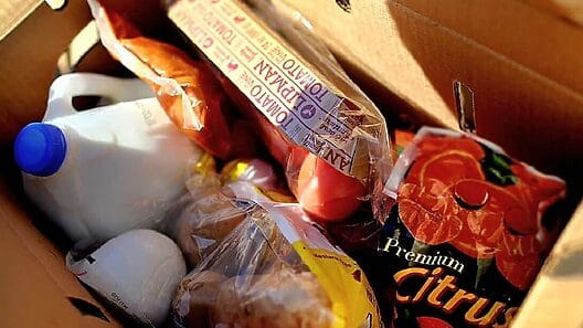 Los inmigrantes indocumentados también pueden obtener beneficios SNAP