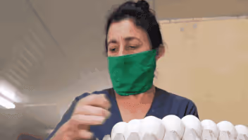 Precios en Cuba: ¡llega a 3 mil pesos el cartón de huevos!