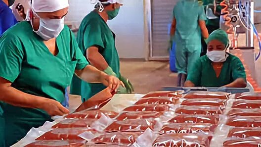 Mipymes de Cuba no podrán capacitar a terceros a cambio de remuneración