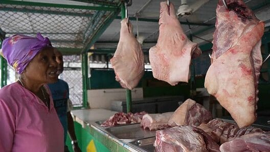 Precio de la carne de cerdo en Cuba sube más del 60% en 17 meses