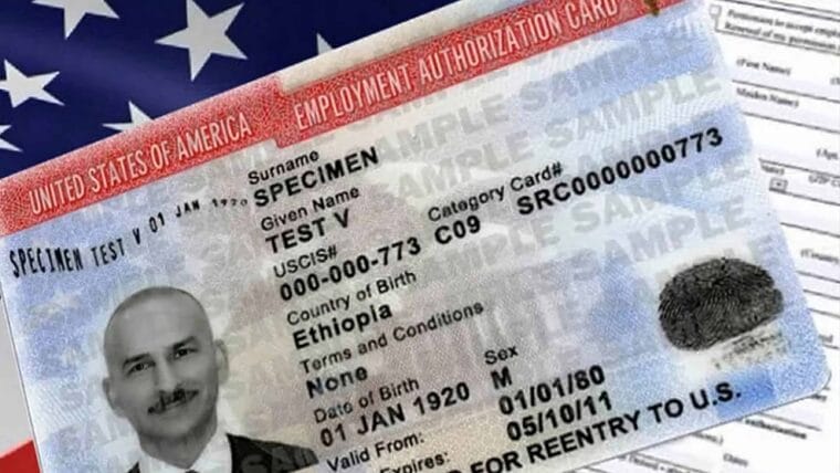 ¿Qué hacer si pierdes la Autorización de Empleo?