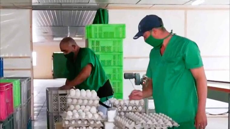 Alarmante los precios en Cuba: ¡un solo huevo cuesta 70 pesos!
