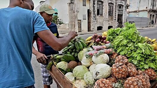 2700 pesos un cartón de huevos: Así están los precios de los alimentos hoy en Cuba (listado)