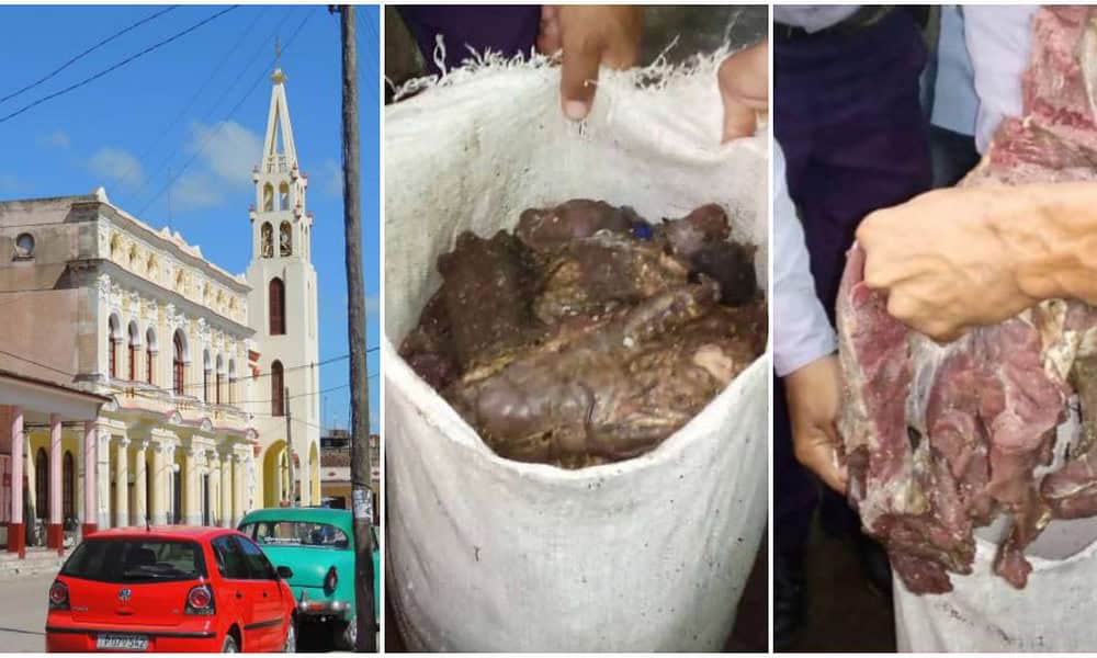 Photo of Hanno sequestrato più di 100 libbre di manzo in una casa a Villa Clara