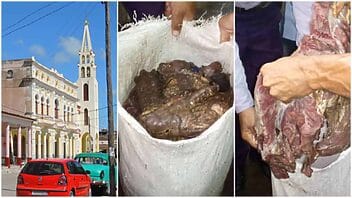 Decomisan más de 100 libras de carne de res en vivienda de Villa Clara