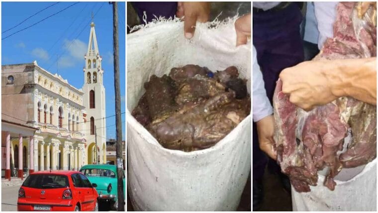Decomisan más de 100 libras de carne de res en vivienda de Villa Clara