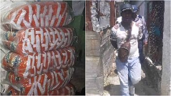 Policía detiene a cubano que “guardaba” 2 mil paquetes de detergente en su casa