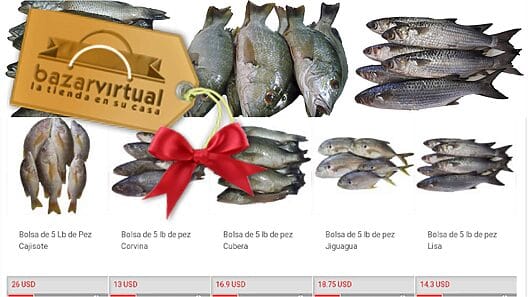 Las aguas de Cuba “no poseen los niveles de pescado necesarios para cubrir la demanda de la población”, asegura viceministra 