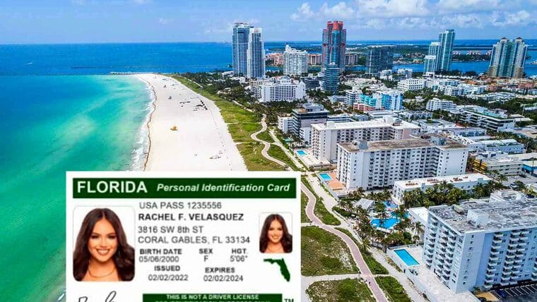 ID Cards: Tarjetas de Identificación de inmigrantes en Florida