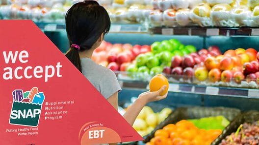 Pagos de agosto del Programa de Asistencia Nutricional Suplementaria (SNAP) en California