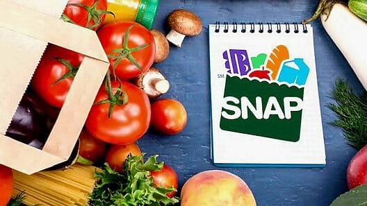 Los mayores pagos del programa SNAP en Estados Unidos