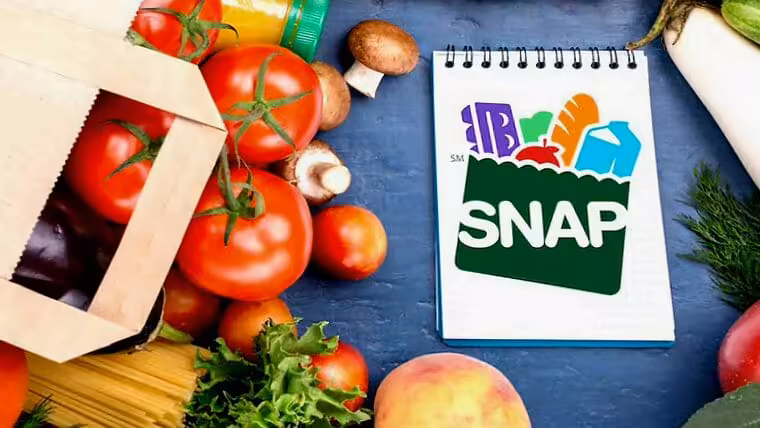 Los mayores pagos del programa SNAP en Estados Unidos