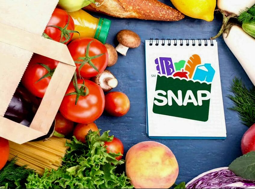 Top States Providing Supplemental Nutrition Assistance Program Benefits
