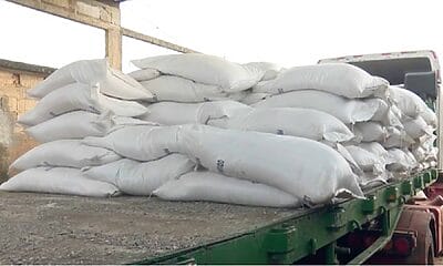 aumentos de robos en bodegas arroz harina frijoles