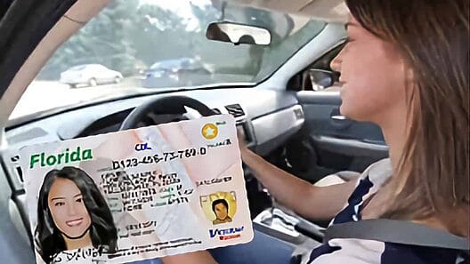 Interminables colas hasta de madrugada para renovar la licencia de conducción en Florida